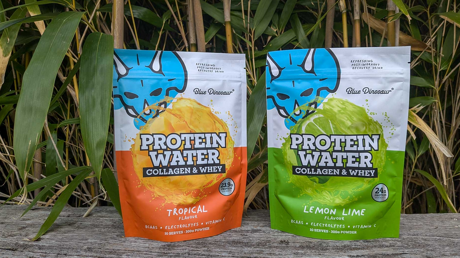 Blue Dinosaur Protein Water