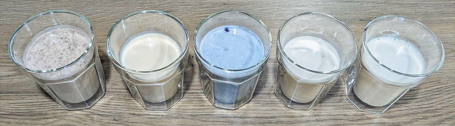 Radix Plant Based Protein Powder flavours