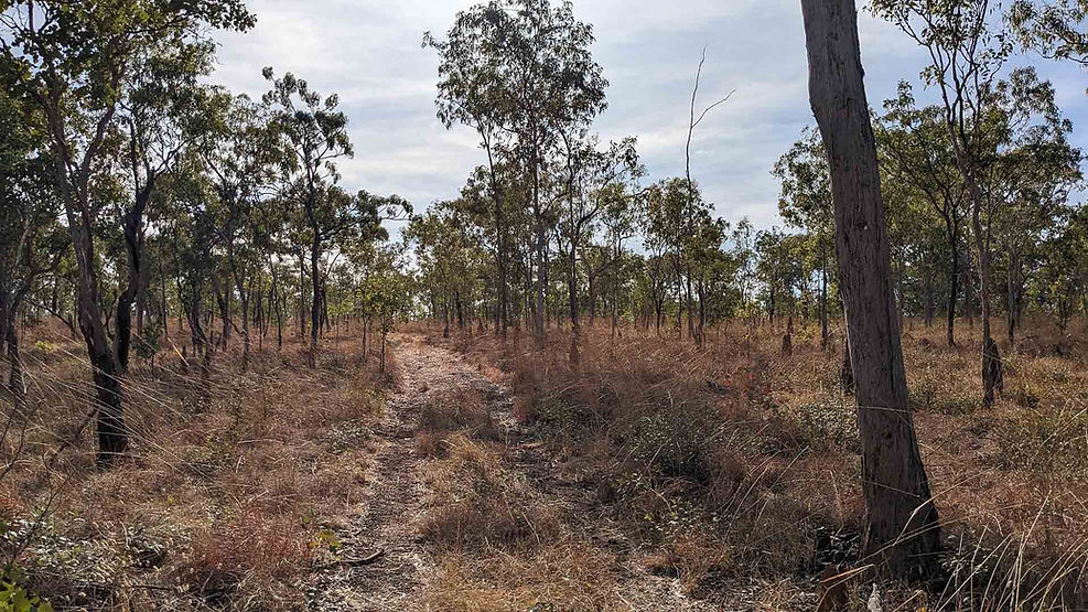 Jatbula trail, dry dirt