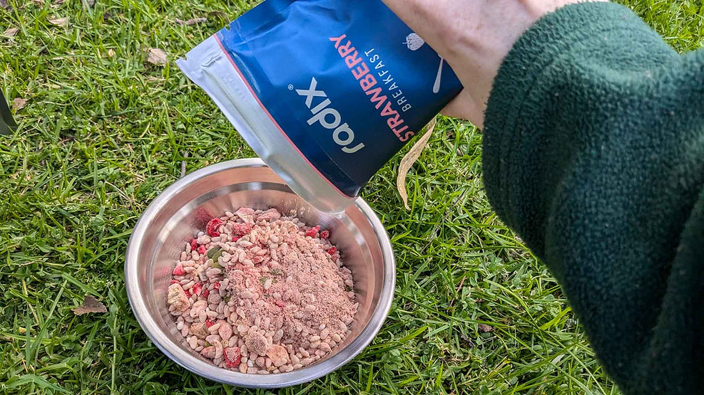 Low FODMAP radix strawberrry meal